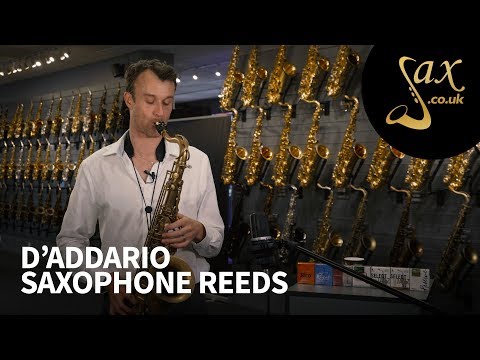 Bari Star Reed Alto Sax M iMuso