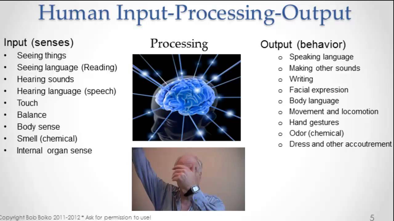 Input-Processing-Output, Tiers, and You