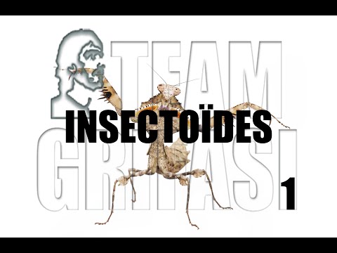 115-RO Mary, Ciclul Investigativ 116, Protocol 116, INSECTOIZII - Carmen Dudu Hipnoza CG Network