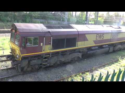 Engineers Train at the Bridge.