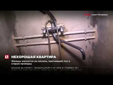 Жители самой большой коммунальной квартиры в Санкт-Петербурге требуют расселения