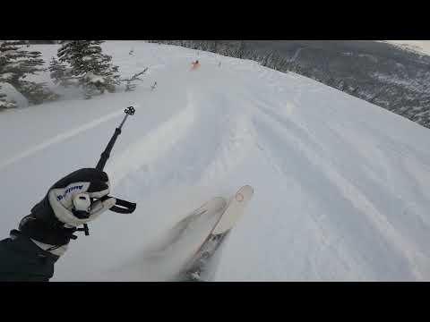 Whistler Mountain 46cm Powder Day | Alpine + Trees | SZM