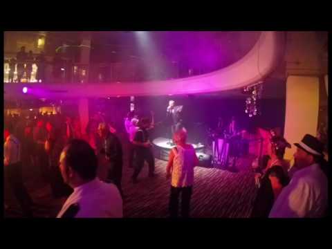 Dizzy J & The Attitude Swingers - Love Cats