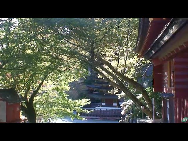 【LIVE】ライブカメラ　談山神社／奈良