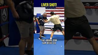 Belly Pad Boxing demonstration thumbnail