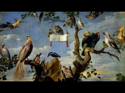 Airs de Cour français du XVIe / XVIIe siècle _ Le Poème Harmonique (live)