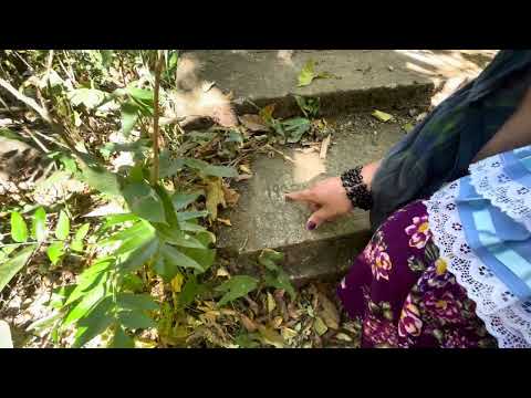 El puente y rio de Colonia San jose en santa ana El Salvador 