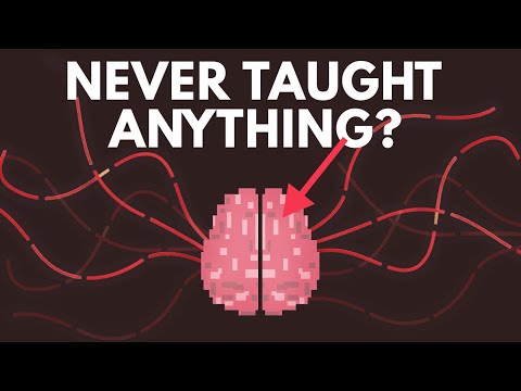 What If You Were Never Taught Anything? – history