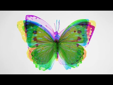 VAMA - Cantec de gasit