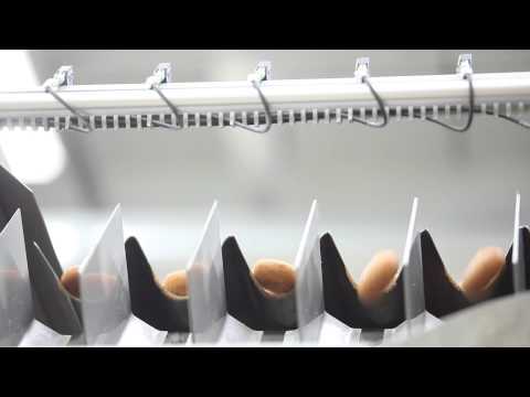 Ipeka Counter12 - bread roll & pie counting