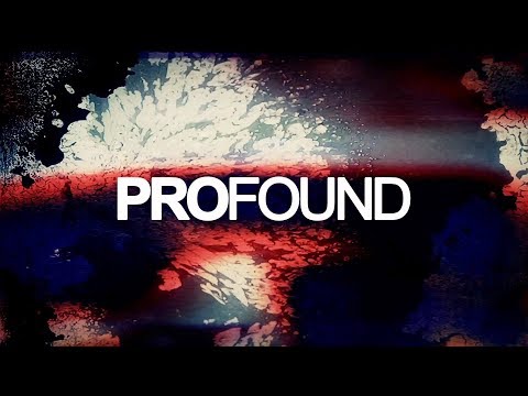 Gemini 529 - Panther