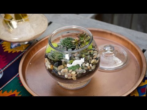 DIY Succulent Terrarium