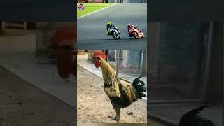 Download lagu Suara MotoGP paling NGERI #shorts #hiburan #viral #lucu #comedy #kocak #shortsviral #funny mp3 Download lagu Suara MotoGP paling NGERI #shorts #hiburan #viral #lucu #comedy #kocak #shortsviral #funny mp3