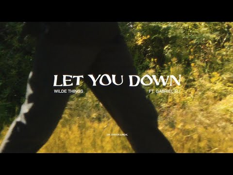 WILDE THINGS - Let You Down (feat. Gabriel Eli) [Official Music Video]