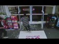 ATM Thieves -- Video of recent attempt - YouTube