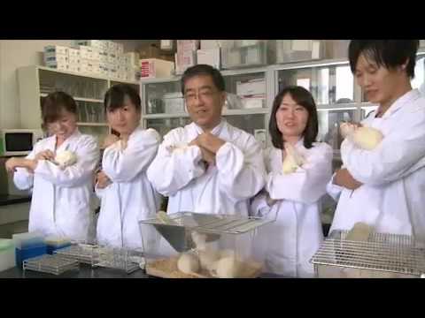 麻布大学 研究室紹介08_浅井 史敏 教授