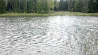 Рыбалка в свердловской области шалинский район
