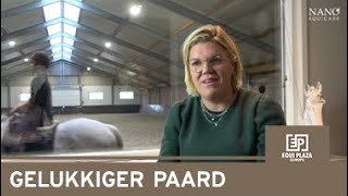 Een gelukkiger paard door Nano CellCare therapie!
