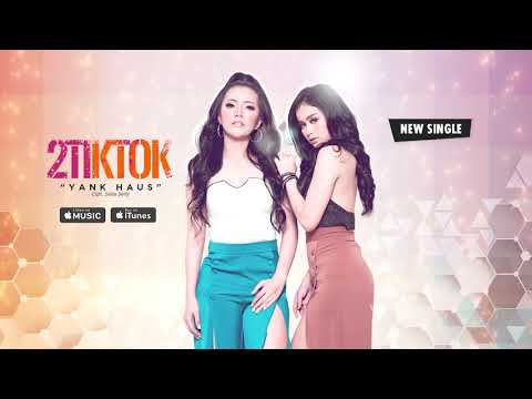 2TikTok - Yank Haus (Official Video Lyrics) #lirik