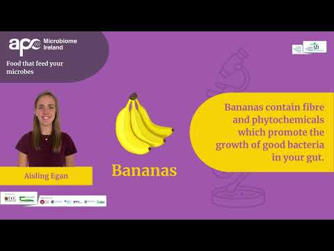 WMD 2024 - Feed your microbes - How diet shapes your gut microbiome