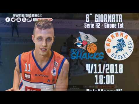 Highlights Roseto Sharks - Termoforgia Jesi