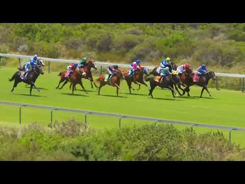 SPEEDING BULLET - RACE 3 #hollywoodbetskenilworth 17-12-2022