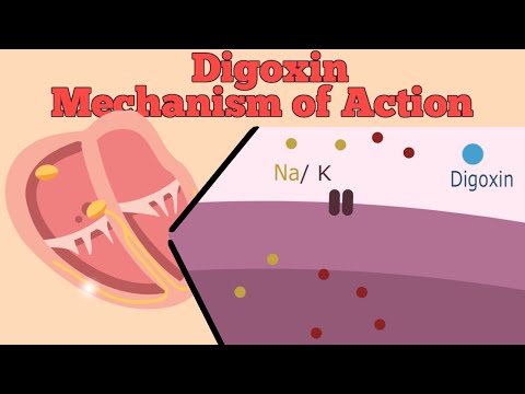 Digoxin Mechanism of Action Explained | Cardiac Medication