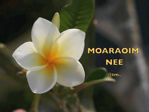 MOARAOIM NEE by Yell Pitz, Taake Sound Production - Kiribati@tm..