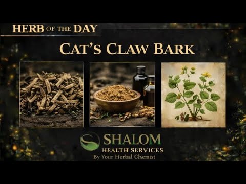 Herb of the Day Cat's Claw Bark