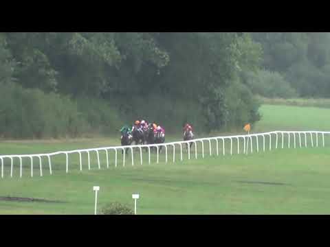 NE, 1. 9. 2018, 3. dostih - CENA Města Netolic