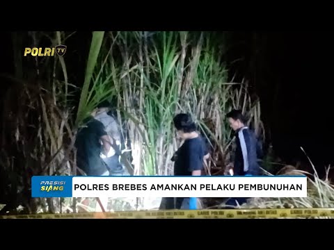 POLRES BREBES AMANKAN PELAKU PEMBUNUHAN DI KEBUN TEBU