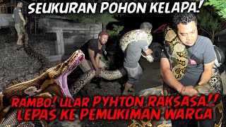 Download lagu PANJI VS RAMBO SI ULAR PYHTON RAKSASA‼️KABUR DARI KANDANG HAMPIR MAKAN KAMBING MBAH WANTO mp3 Download lagu PANJI VS RAMBO SI ULAR PYHTON RAKSASA‼️KABUR DARI KANDANG HAMPIR MAKAN KAMBING MBAH WANTO mp3