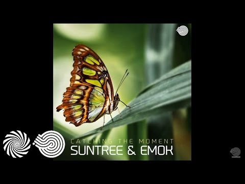 Suntree & Emok - Catching the Moment