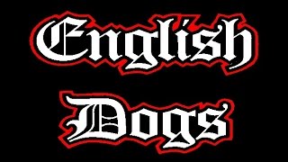English Dogs @ Camden Underworld - 23.06.15 (pt3) 'Ambassador of Fear'