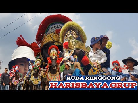 Renggong horses cause traffic jams - Dancing horse video