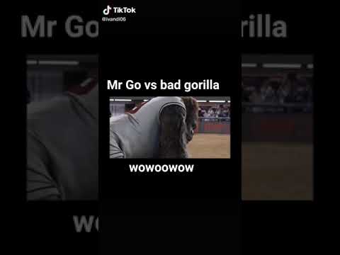 Mr go Vs bad gorilla