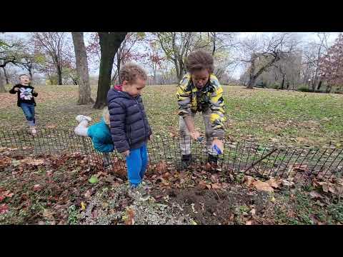 planting milkweed(3)