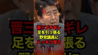 【安倍晋三】「こんな議論 何時間やったって同じ！」柚木が安倍総理にブチギレられる  #安倍晋三 #高市早苗 #自民党 #柚木道義 #政治 #shorts