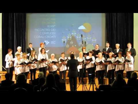 Hrvoje Banaj: Jutro rano ja se stanem