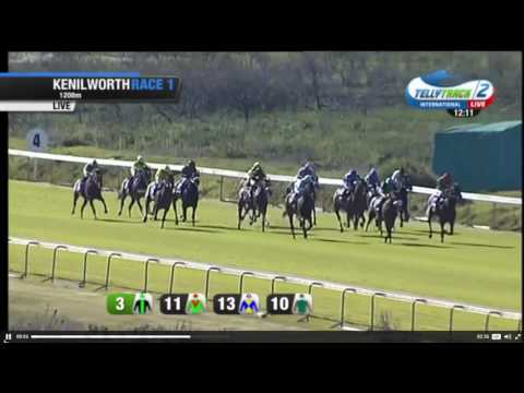 Smokey Affair Scores in Her Second Career Start