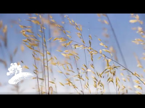 Green Hill Music - Saluting Gershwin [Visualizer]