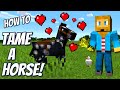 How To Tame A Horse In Minecraft EASY
