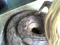 Half Dog Half Snake Girl 3gp