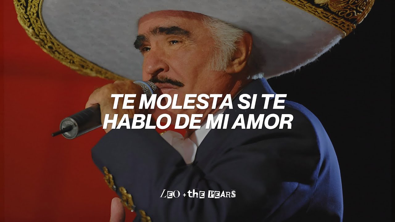 Vicente Fernández - Un Millón de Primaveras (Letra)