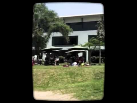 Seven Flaming Lions After Movie