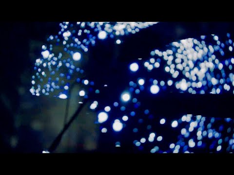 Trablisa – Great Point Messed Up (Official Video)