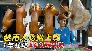 [問卦] 貓肉哪裡好吃？