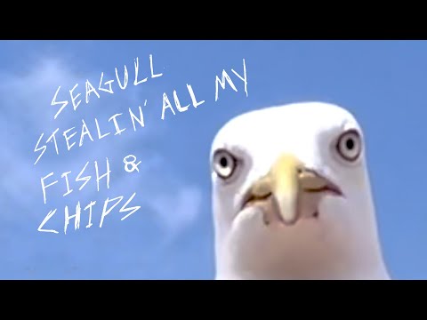 Video thumbnail for Seagull Stealin’ All My Fish and Chips