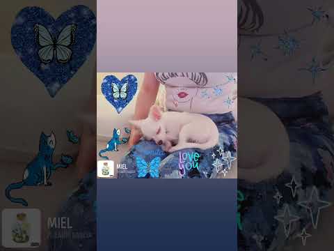 🫧🦋Damita🦋🫧