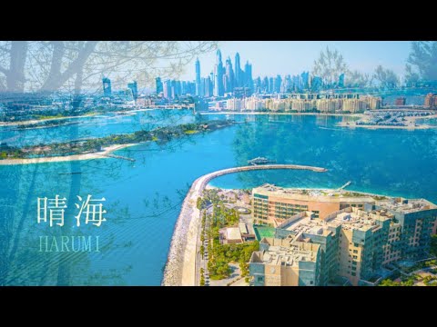 晴海/山口陽一  HARUMI/Yoichi Yamaguchi  Tokyo Bay Music 2020 Video
